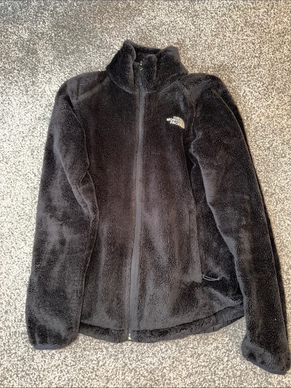 The North Face Black Plush Full-Zip Teddy Jacket
